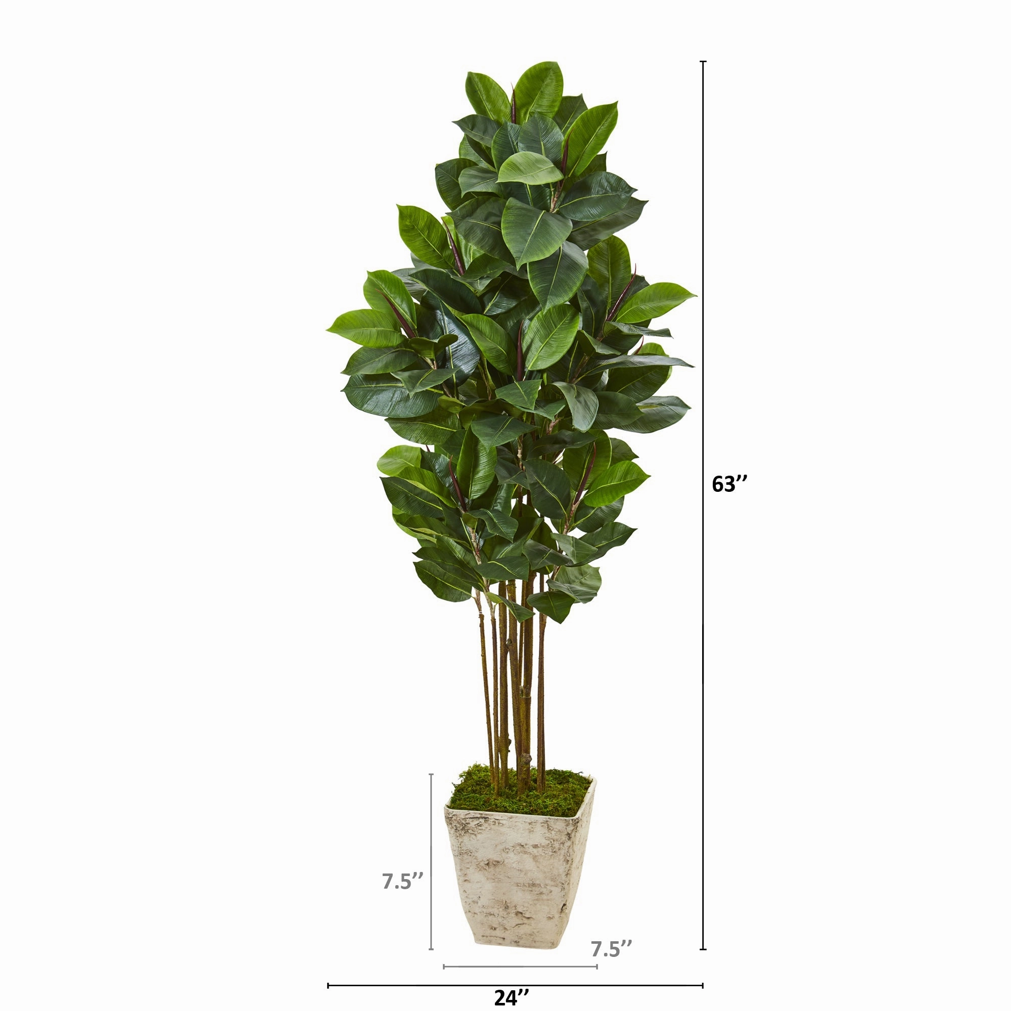 63" Rubber Leaf Artificial Tree in Country White Planter