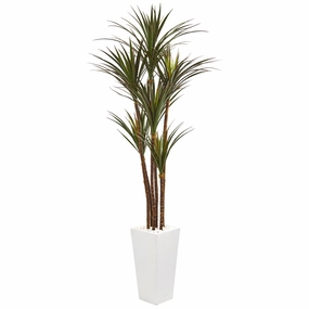 6.5' Giant Yucca Tree in White Planter UV Rest (Indr/Outdr) Faux Florals cheap bouquet decor