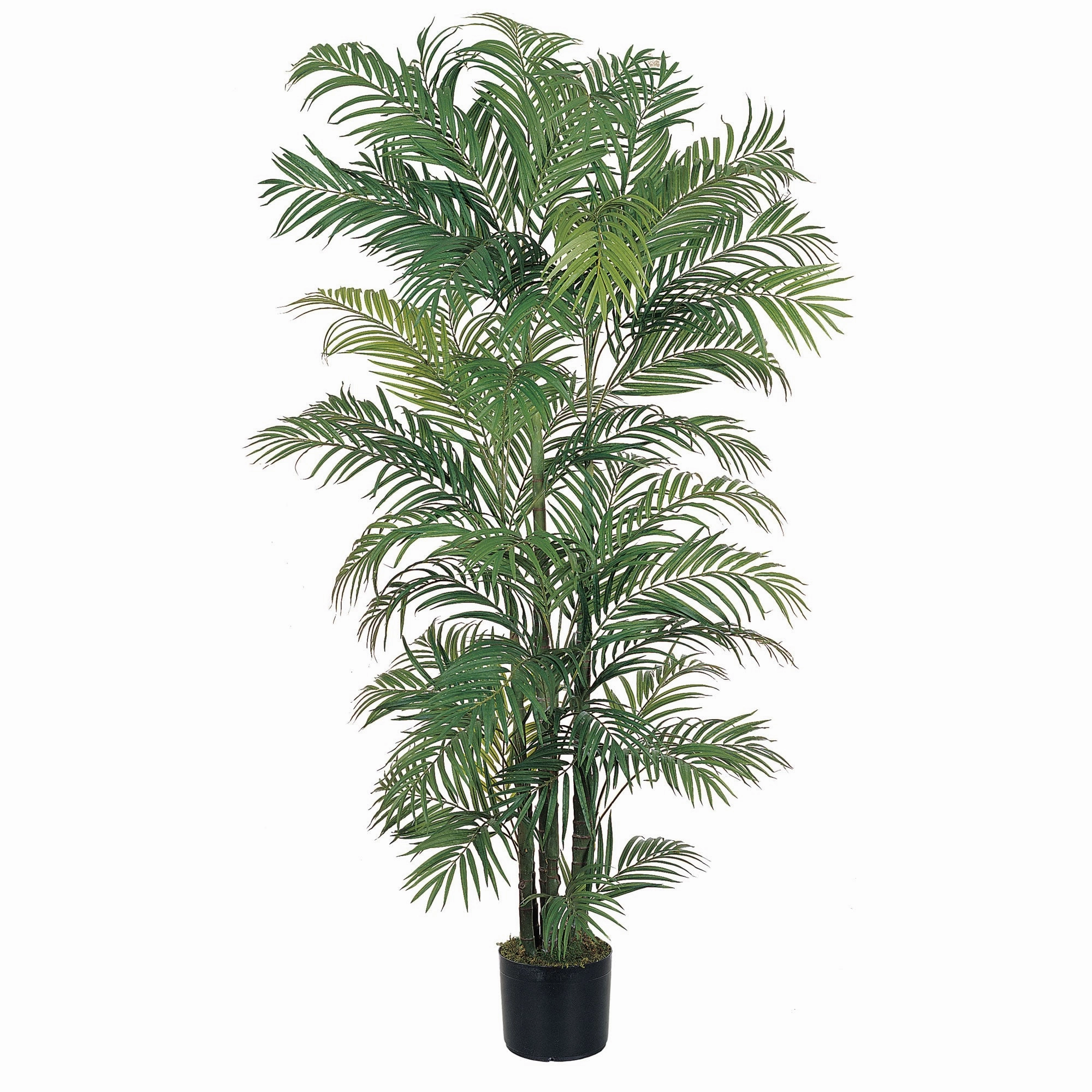 6' Areca Palm Tree x 8 w/1464 Lvs Faux Florals best price deals
