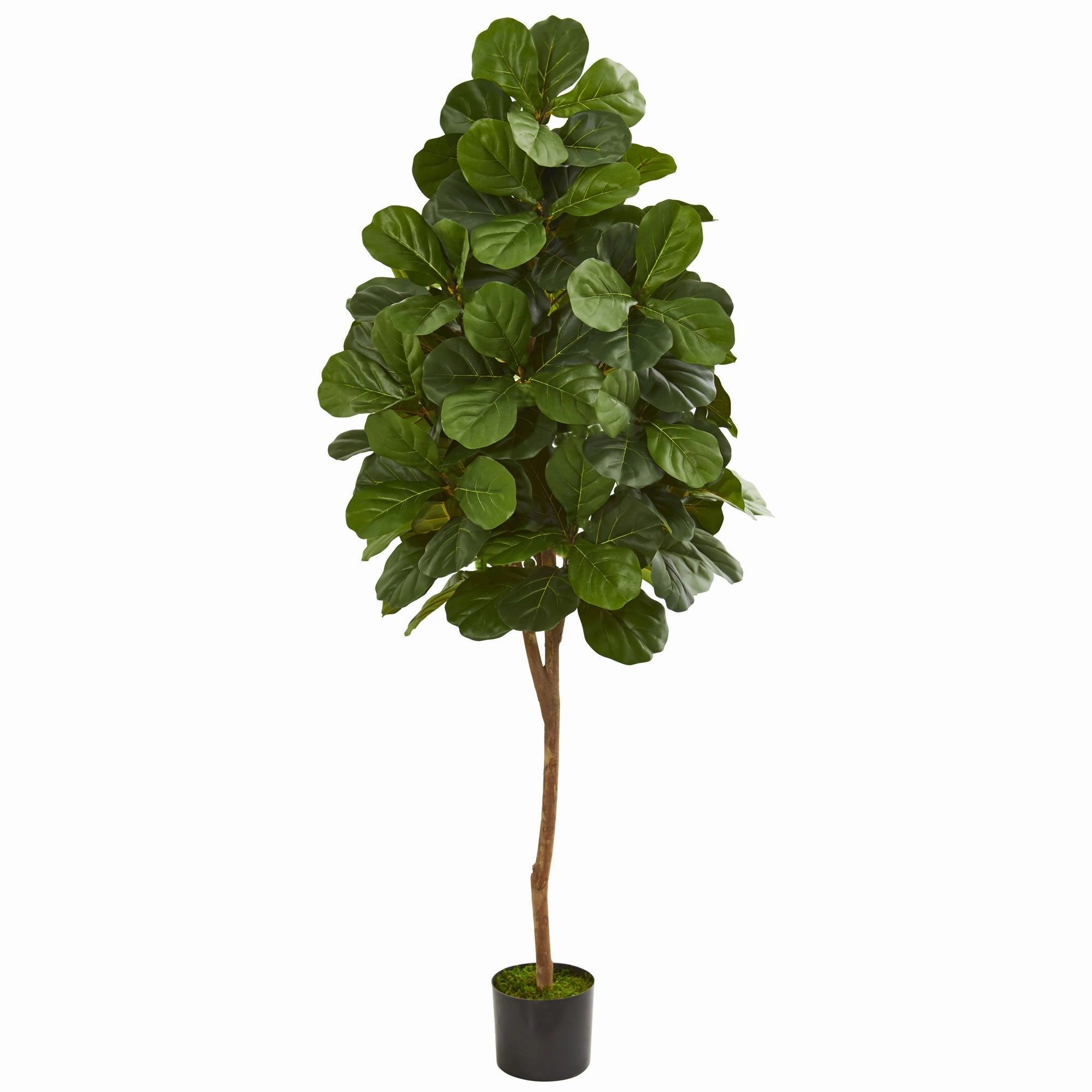 6' Fiddle Leaf Fig Artificial Tree Faux Florals best price deals