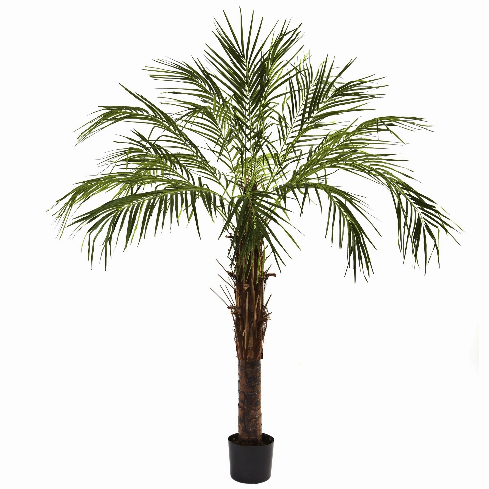 6' Robellini Palm Tree w/642 Lvs Faux Florals online special