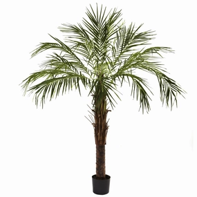 6' Robellini Palm Tree w/642 Lvs Faux Florals online special