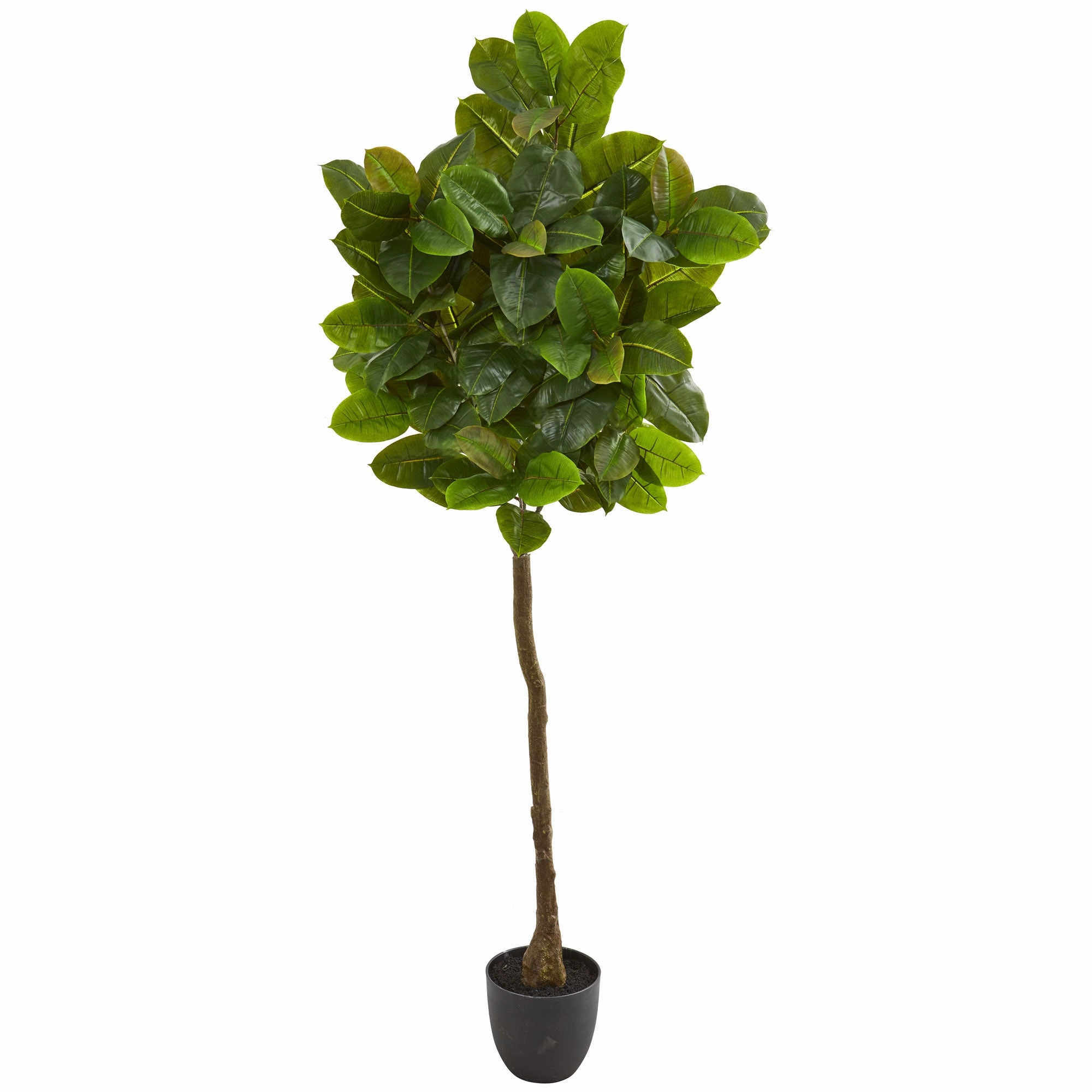 6' Rubber Leaf Artificial Tree (Real Touch)