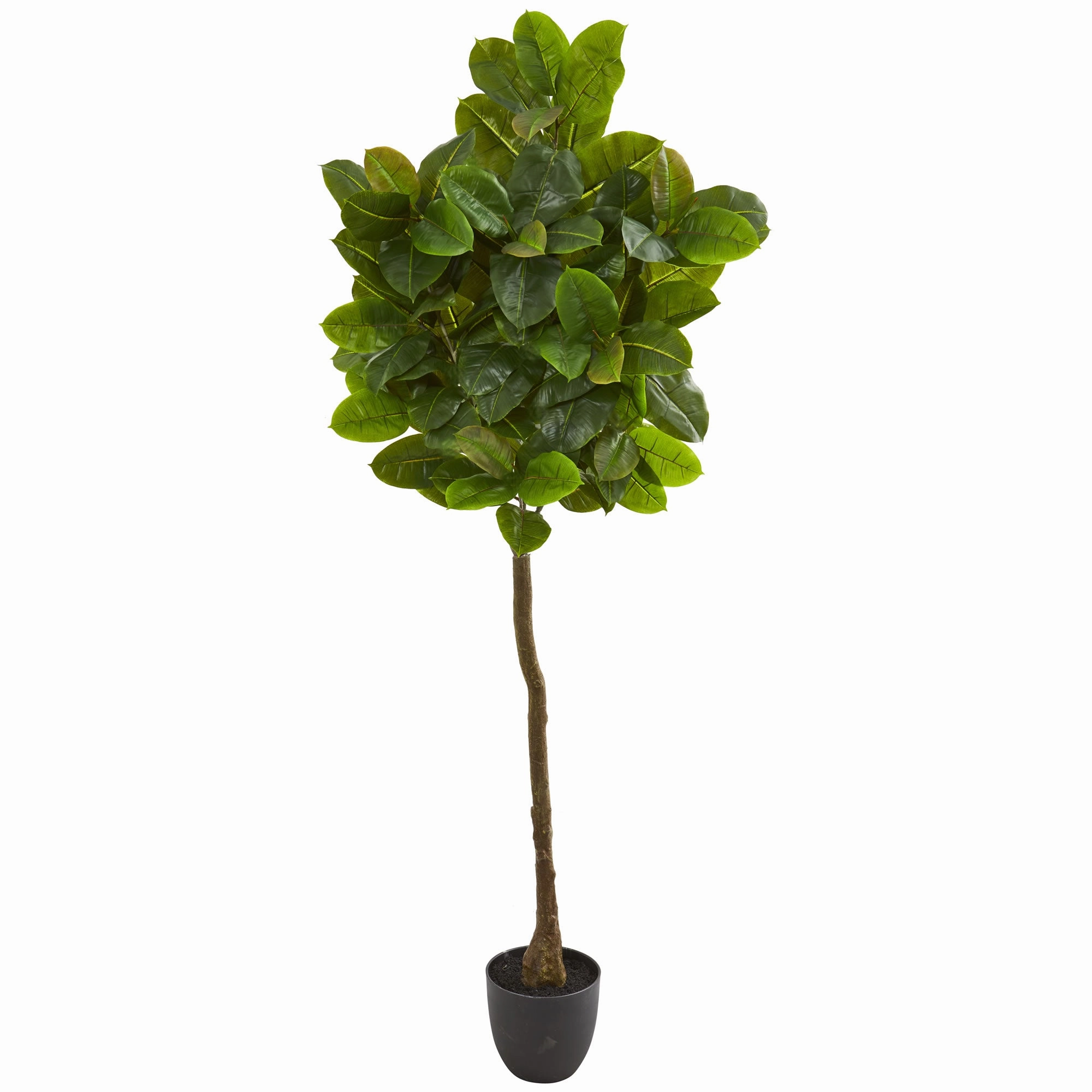 6' Rubber Leaf Artificial Tree (Real Touch) Faux Florals online special