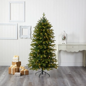 6 Belgium Fir Christmas Tree with 300 Clear LED Lights Faux Florals online special