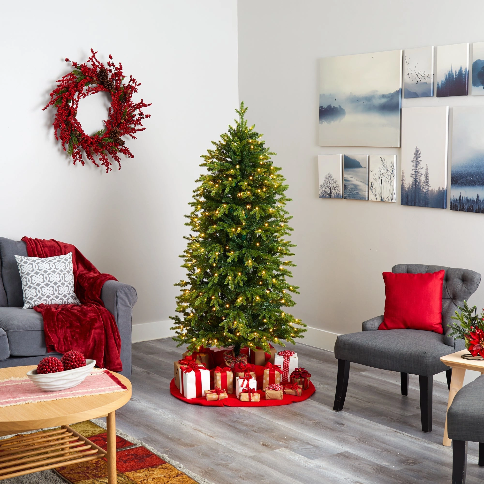 6 Belgium Fir Christmas Tree with 300 Clear LED Lights