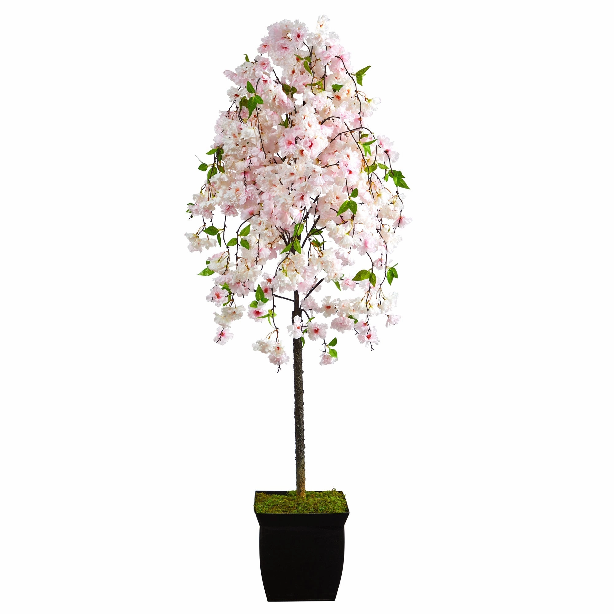 70" Cherry Blossom Artificial Tree in Black Metal Planter Faux Florals online special