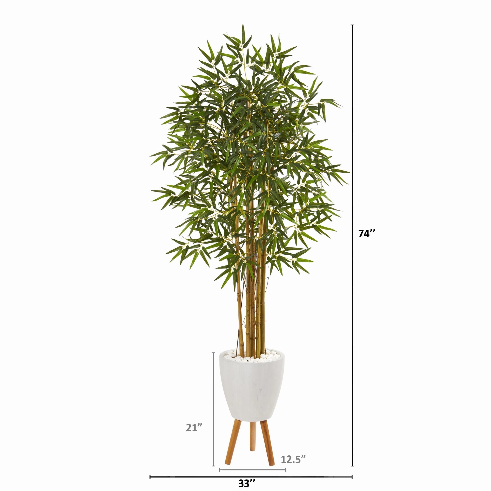 74" Multi Bambusa Bamboo Tree in Planter with Stand