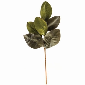 *Elegant Magnolia Leaves Pick 20" Faux Florals online special
