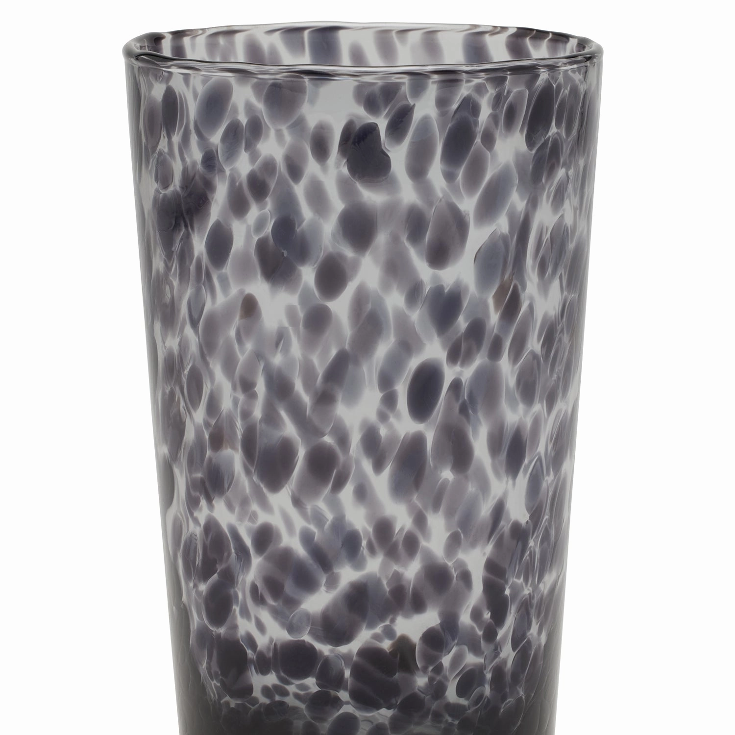 Andrew Leopard Highball Glasses Set/6