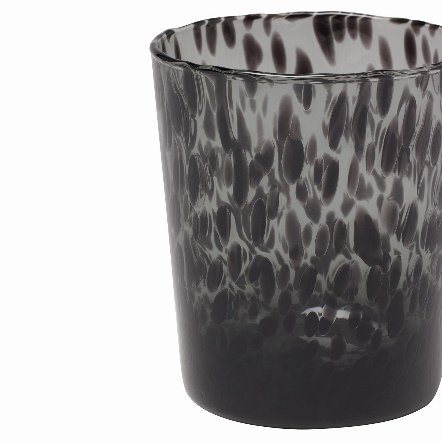 Andrew Leopard Tumbler Hand Blown Glasses Set/6