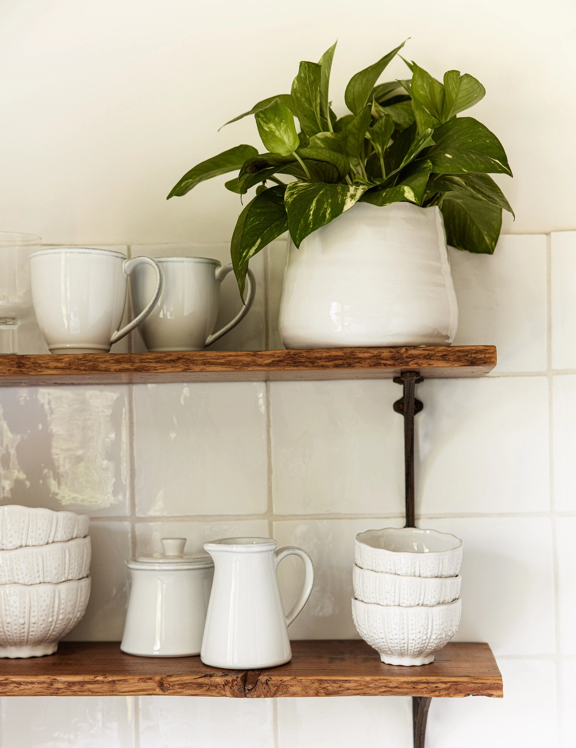 Aparte Cereal Bowl by Costa Nova