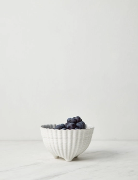 Aparte Footed Bowl by Costa Nova -  - Serveware kitchen discount