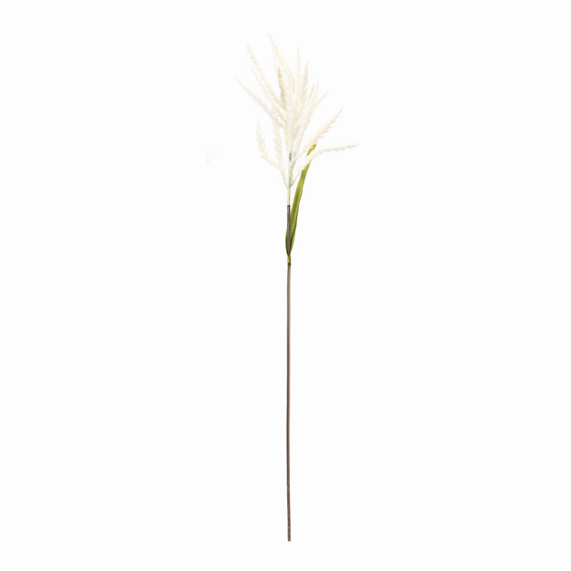 Astilbe Stem (Set of 6) 34"H Plastic/Polyester