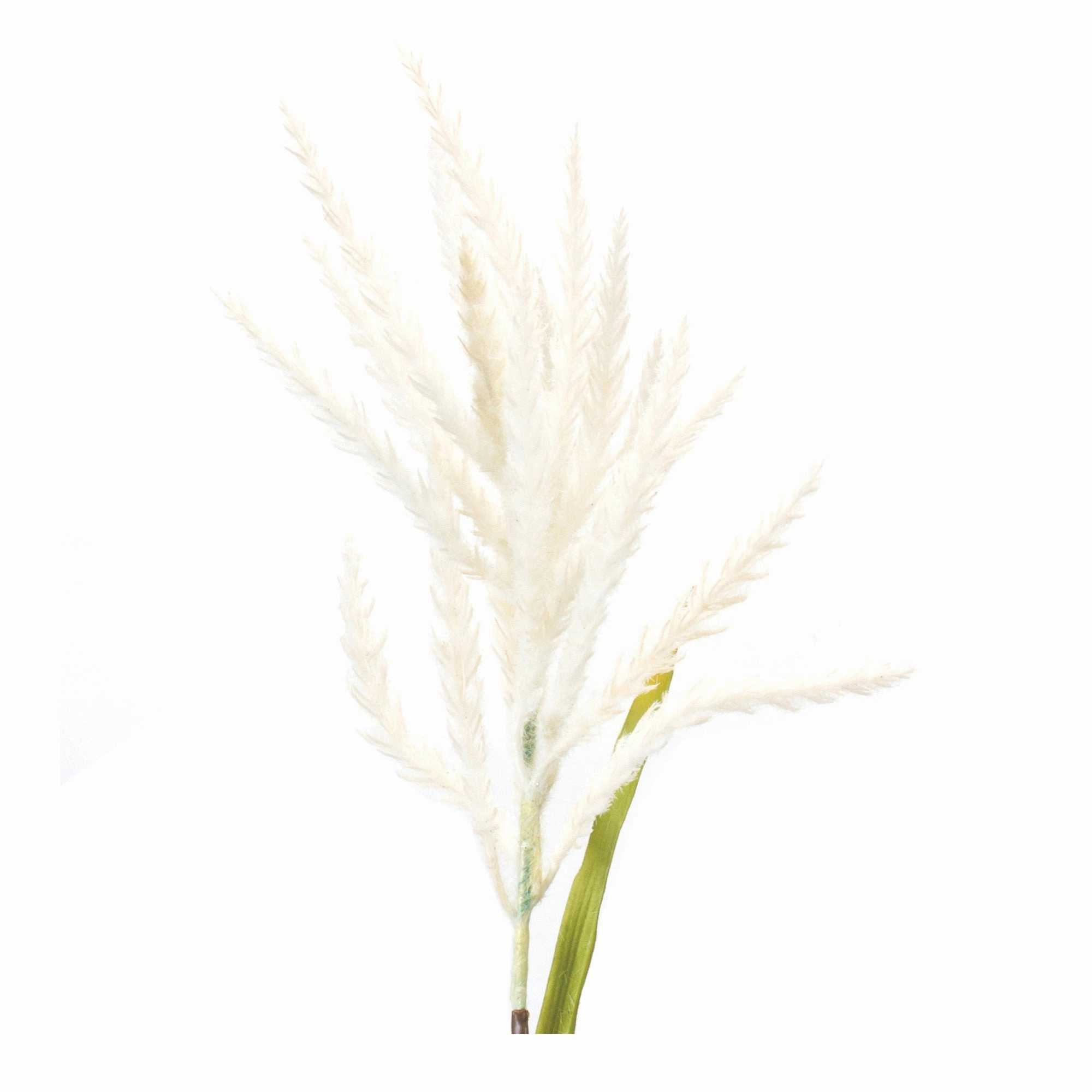 Astilbe Stem (Set of 6) 34"H Plastic/Polyester