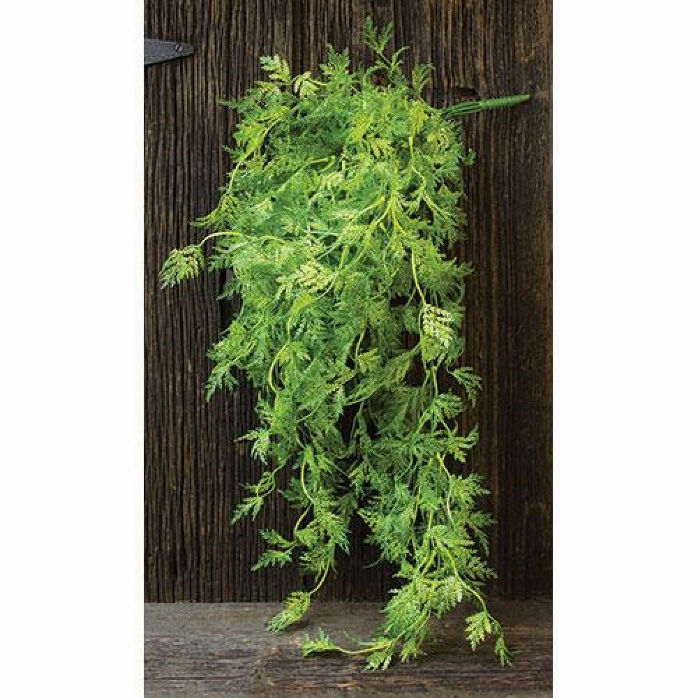 Badium Hanging Bush