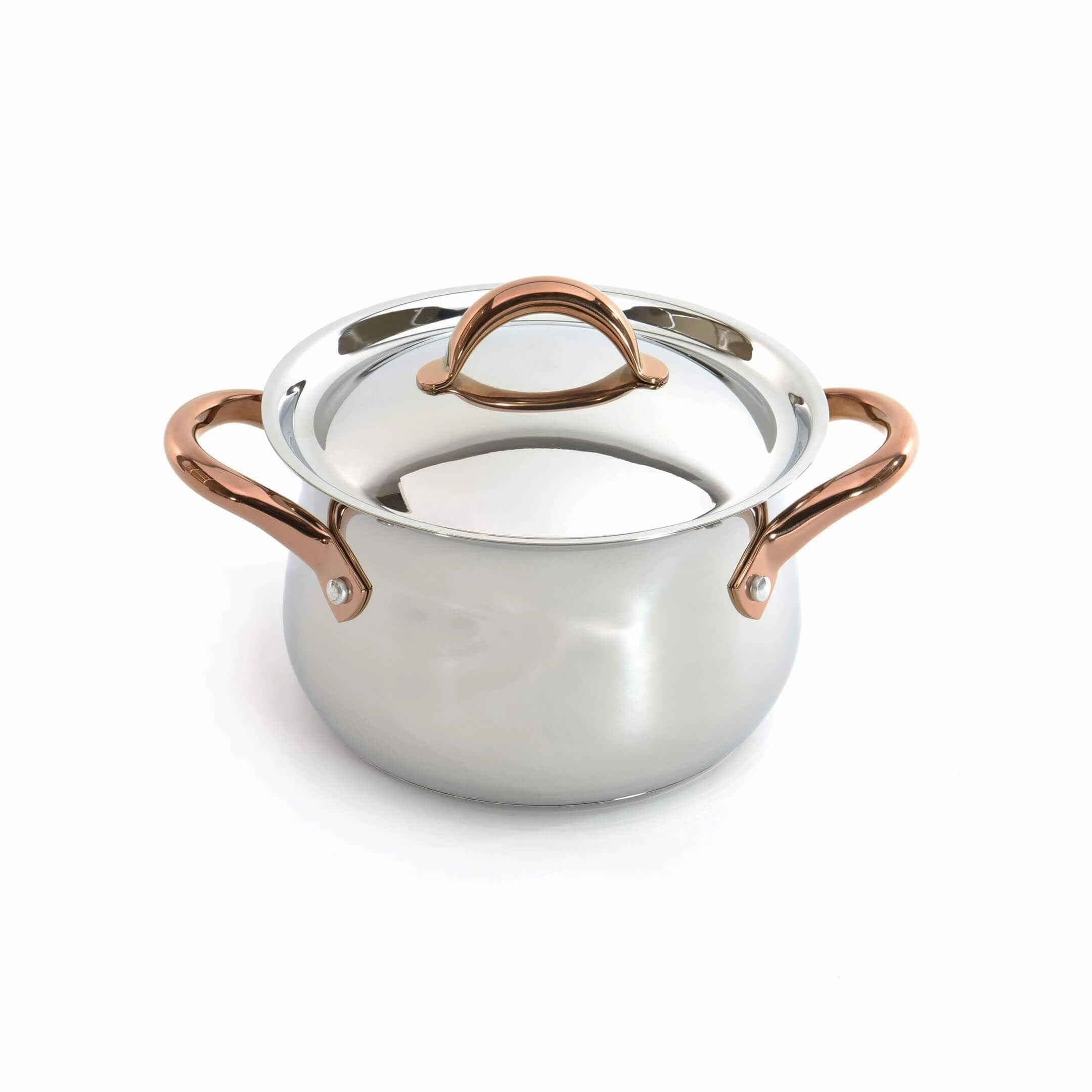 BergHOFF Ouro Gold 11Pc 18/10 Stainless Steel Cookware Set with SS Lids