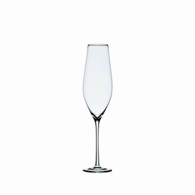 Cabernet Champagne Glass (Set of 6) Glassware Tabletop & Kitchen sale