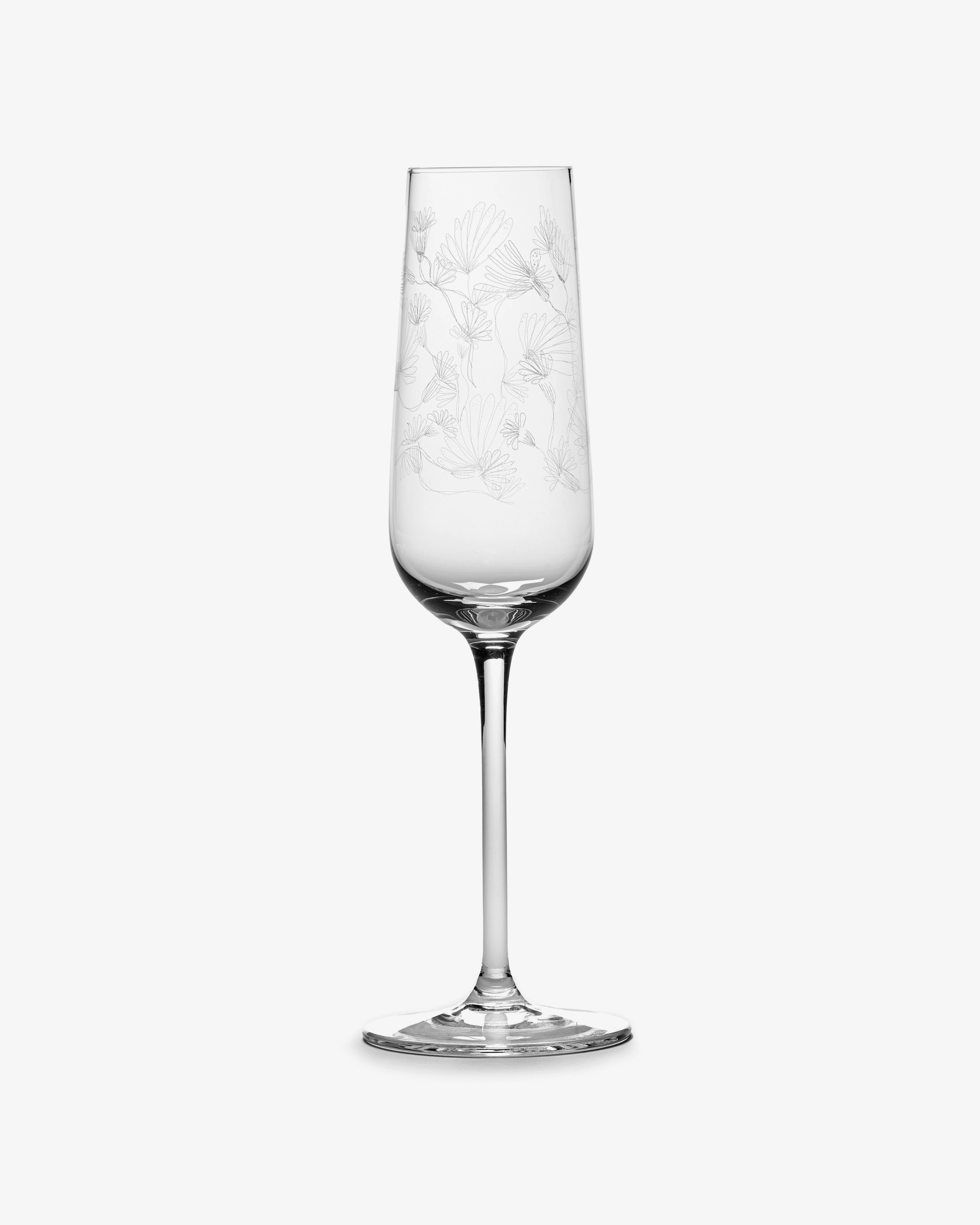 CHAMPAGNE FLUTE CAMELIA AUBERGINE MF Glassware Tableware discount