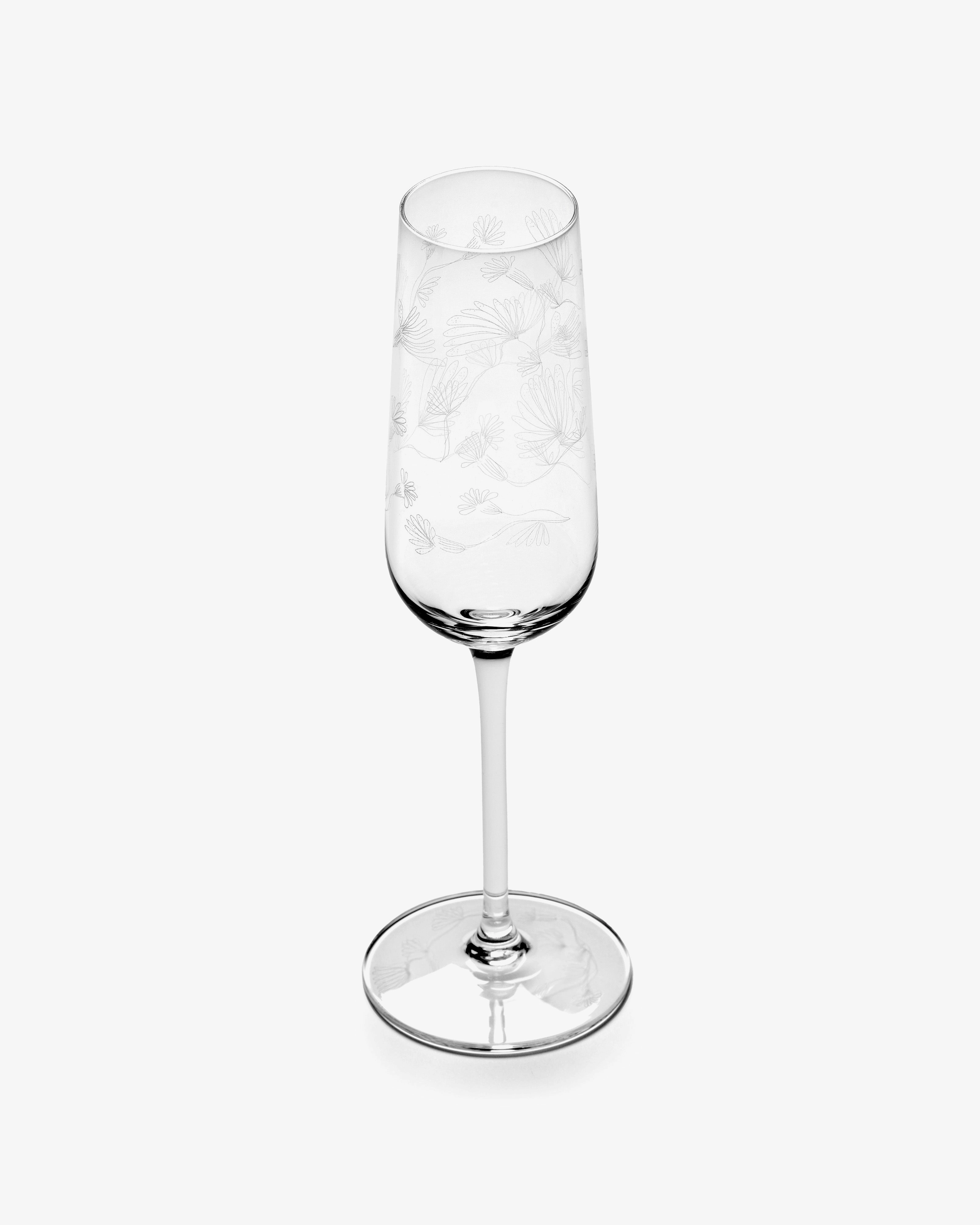 CHAMPAGNE FLUTE CAMELIA AUBERGINE MF Glassware Tableware discount