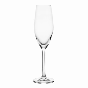 Champagne Flute Sante Drinkware Bar Essentials