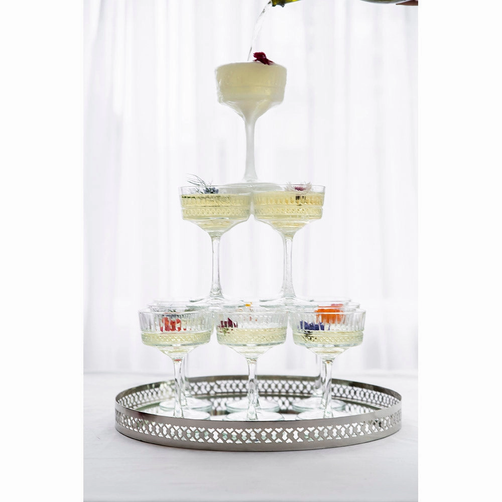 Champagne Glass Coupe Elysia Glassware clearance picks