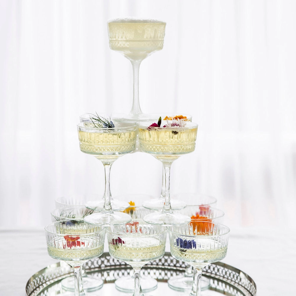 Champagne Glass Coupe Elysia Glassware clearance picks