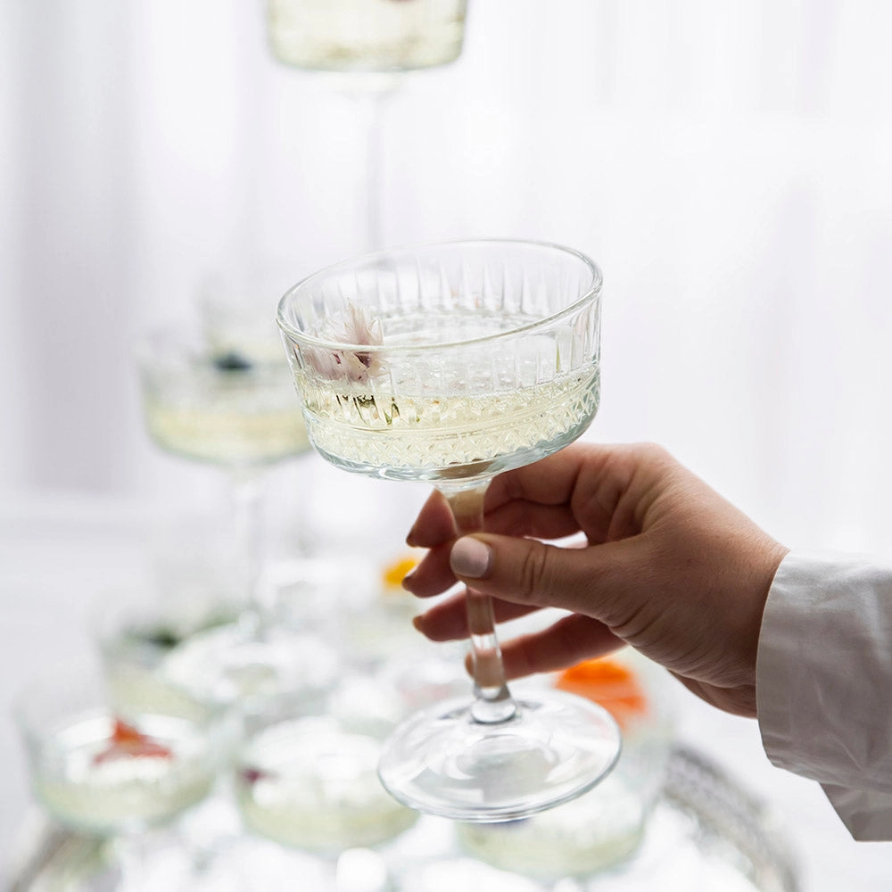 Champagne Glass Coupe Elysia Glassware clearance picks