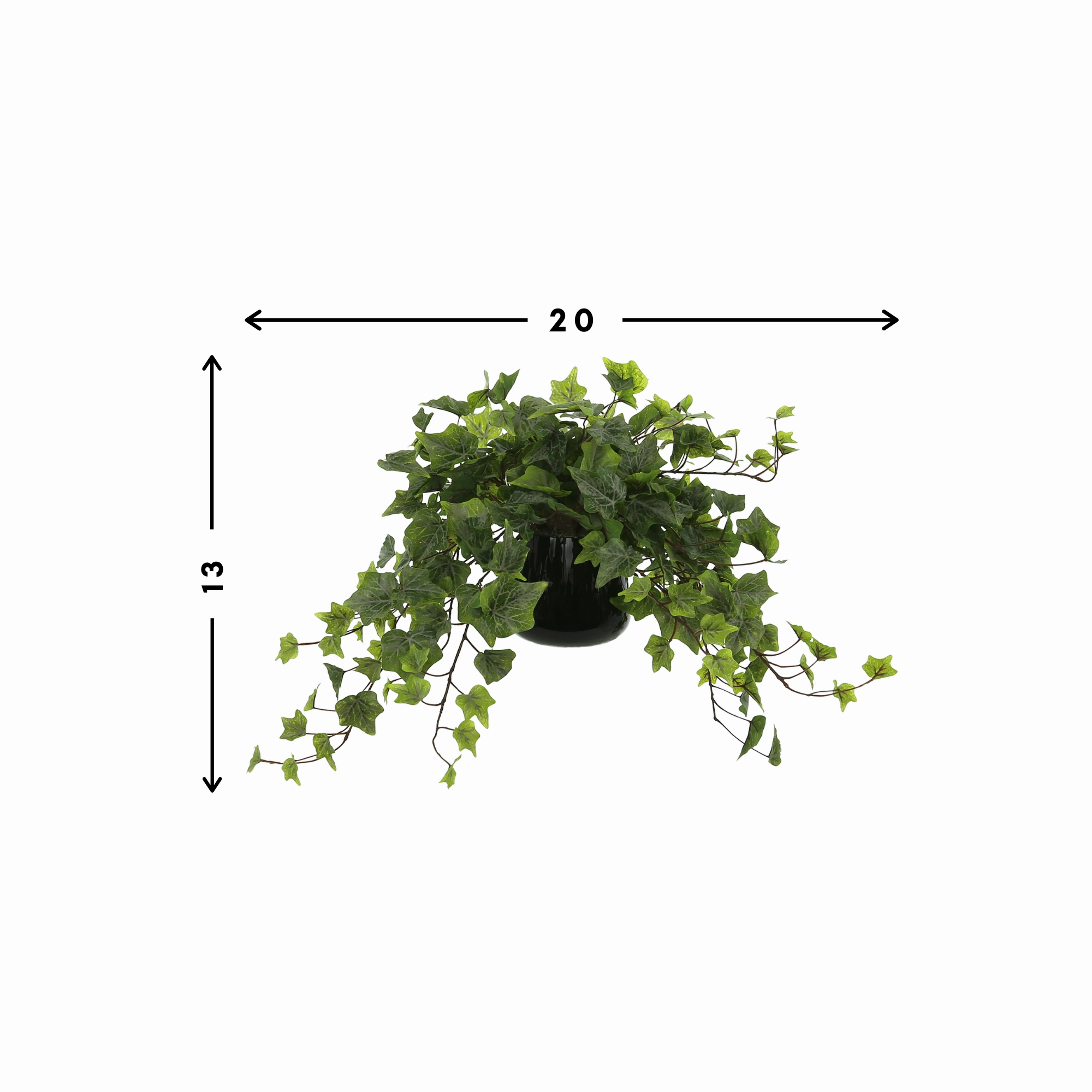 Creative Displays Ivy Arrangement in a Glass Vase