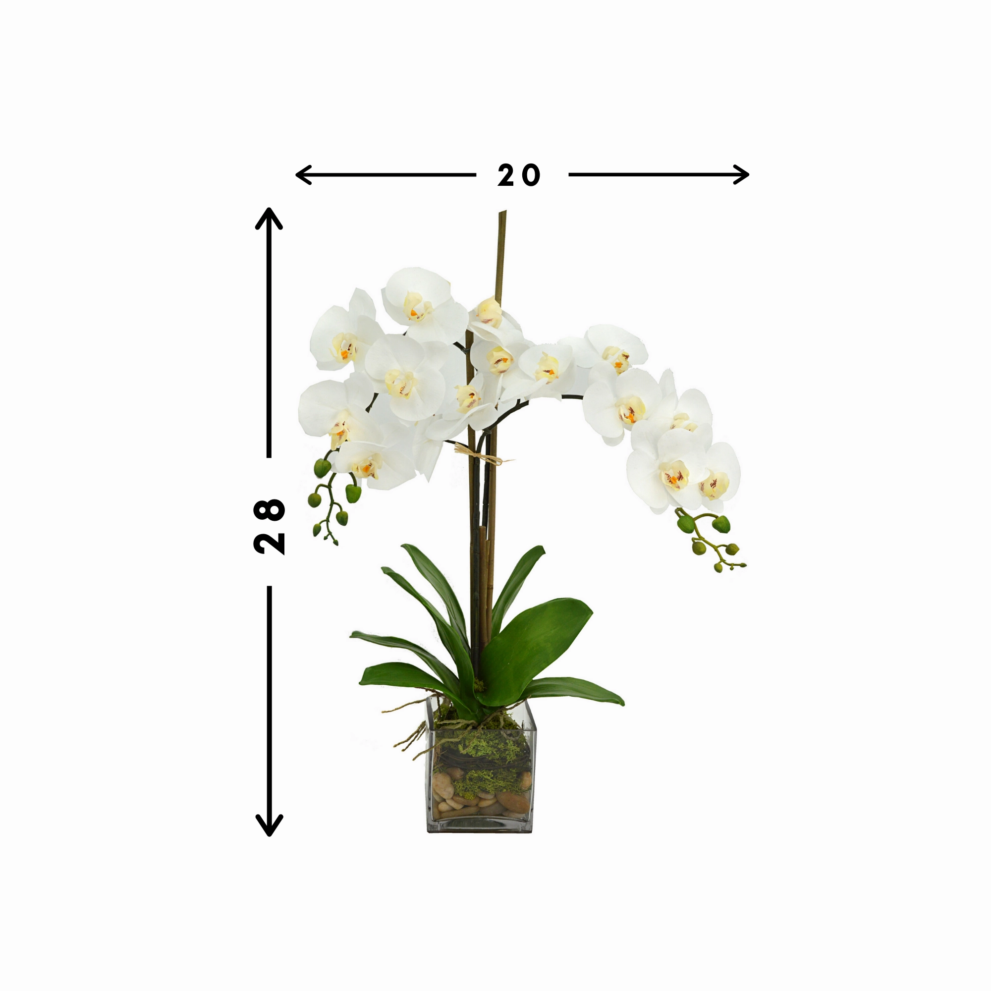 Creative Displays White Orchid  Floral Arrangement