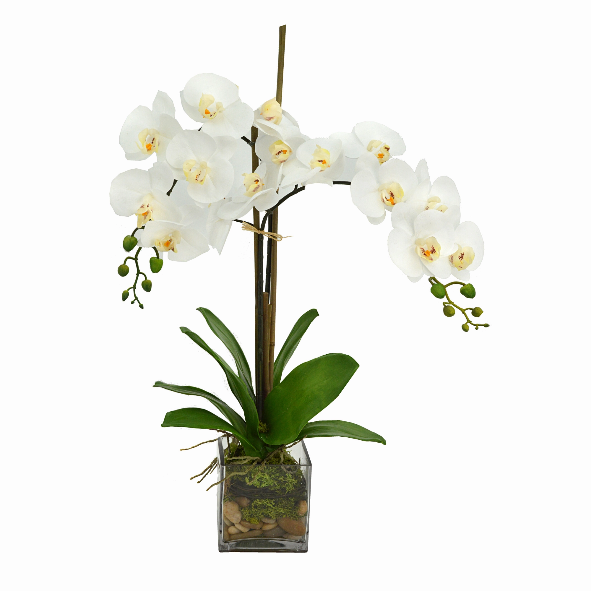Creative Displays White Orchid  Floral Arrangement Faux Florals home florals discount