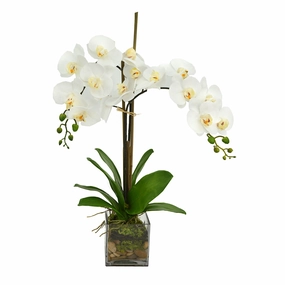 Creative Displays White Orchid  Floral Arrangement Faux Florals home florals discount