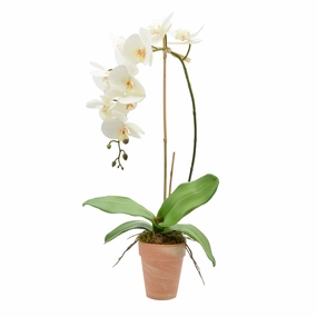 Creative Displays White Orchid Floral Arrangement Faux Florals home florals discount