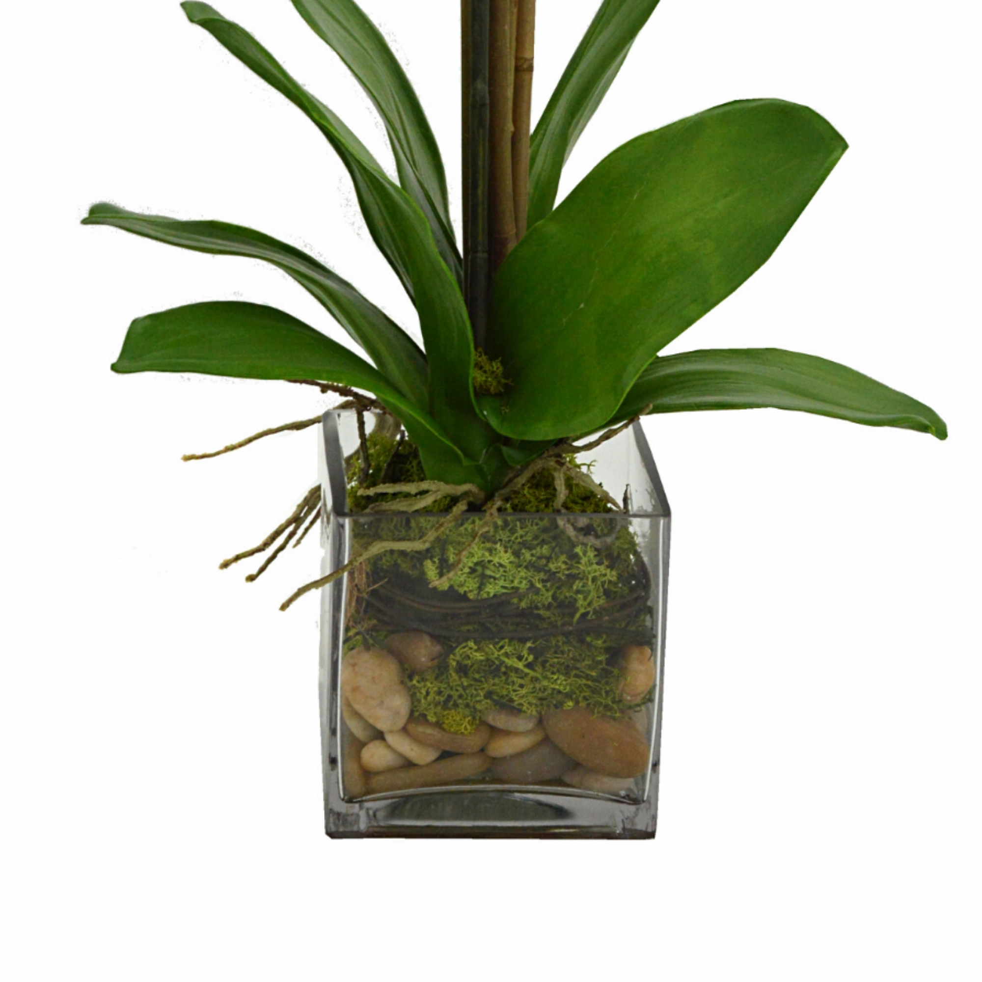 Creative Displays White Orchid  Floral Arrangement