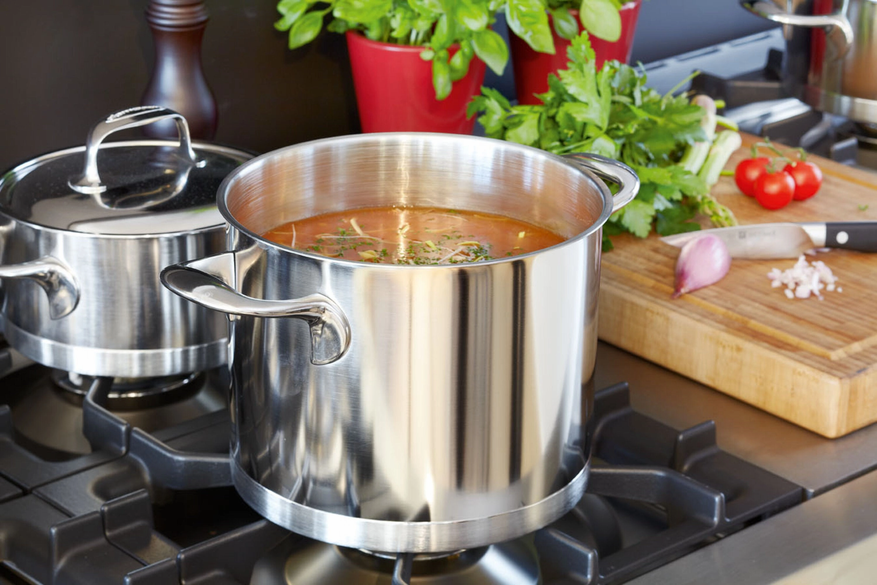 DEMEYERE Atlantis Stainless Steel Stock Pot