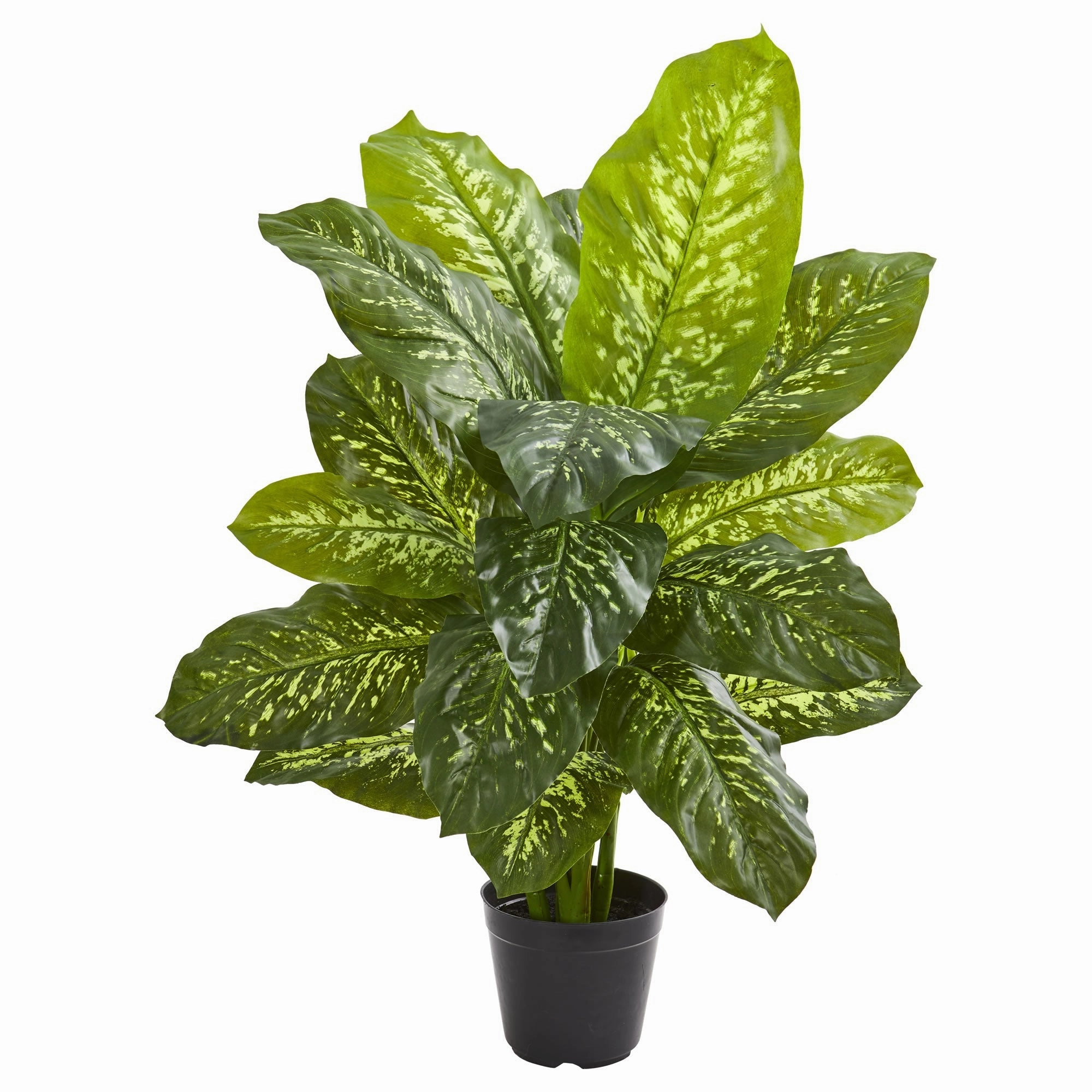 Dieffenbachia Artificial Plant (Real Touch) 34"