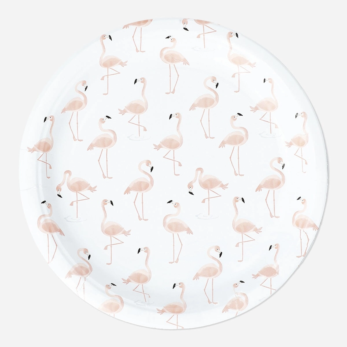 Disposable plates. 8 pcs Kitchen Tableware at affordable prices