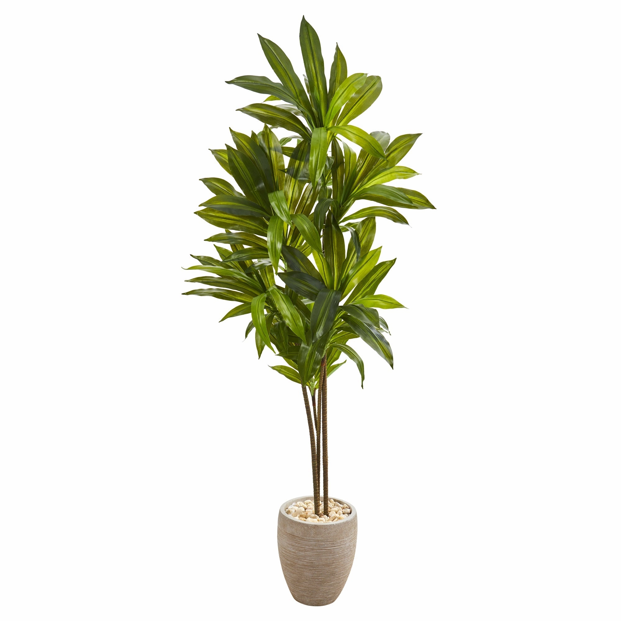 Dracaena Artificial Plant in Sand Colored Planter (Real Touch) 68" Faux Florals home florals discount