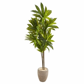 Dracaena Artificial Plant in Sand Colored Planter (Real Touch) 68" Faux Florals home florals discount