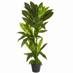 Dracaena Artificial Plant (Real Touch) 3' Faux Florals home florals discount