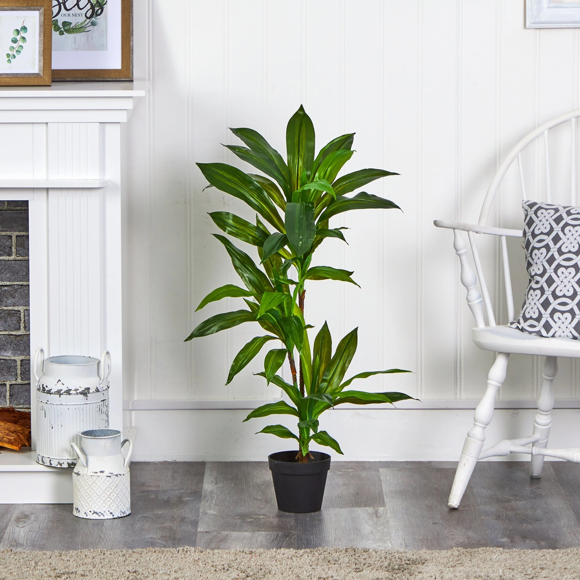 Dracaena Artificial Plant (Real Touch) 3'
