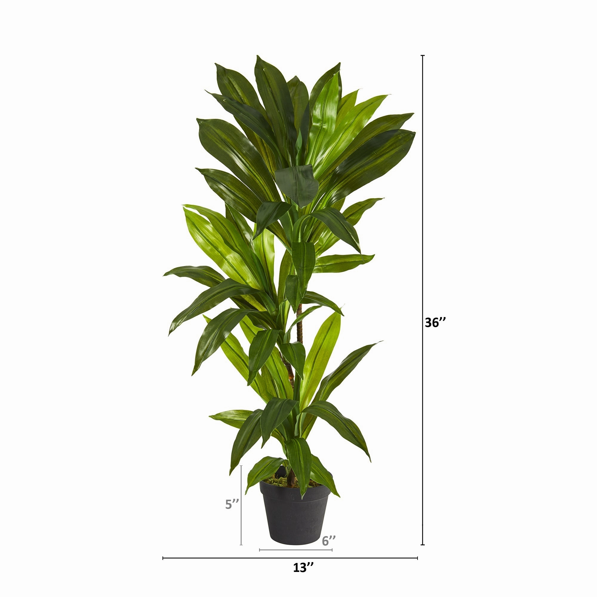 Dracaena Artificial Plant (Real Touch) 3'