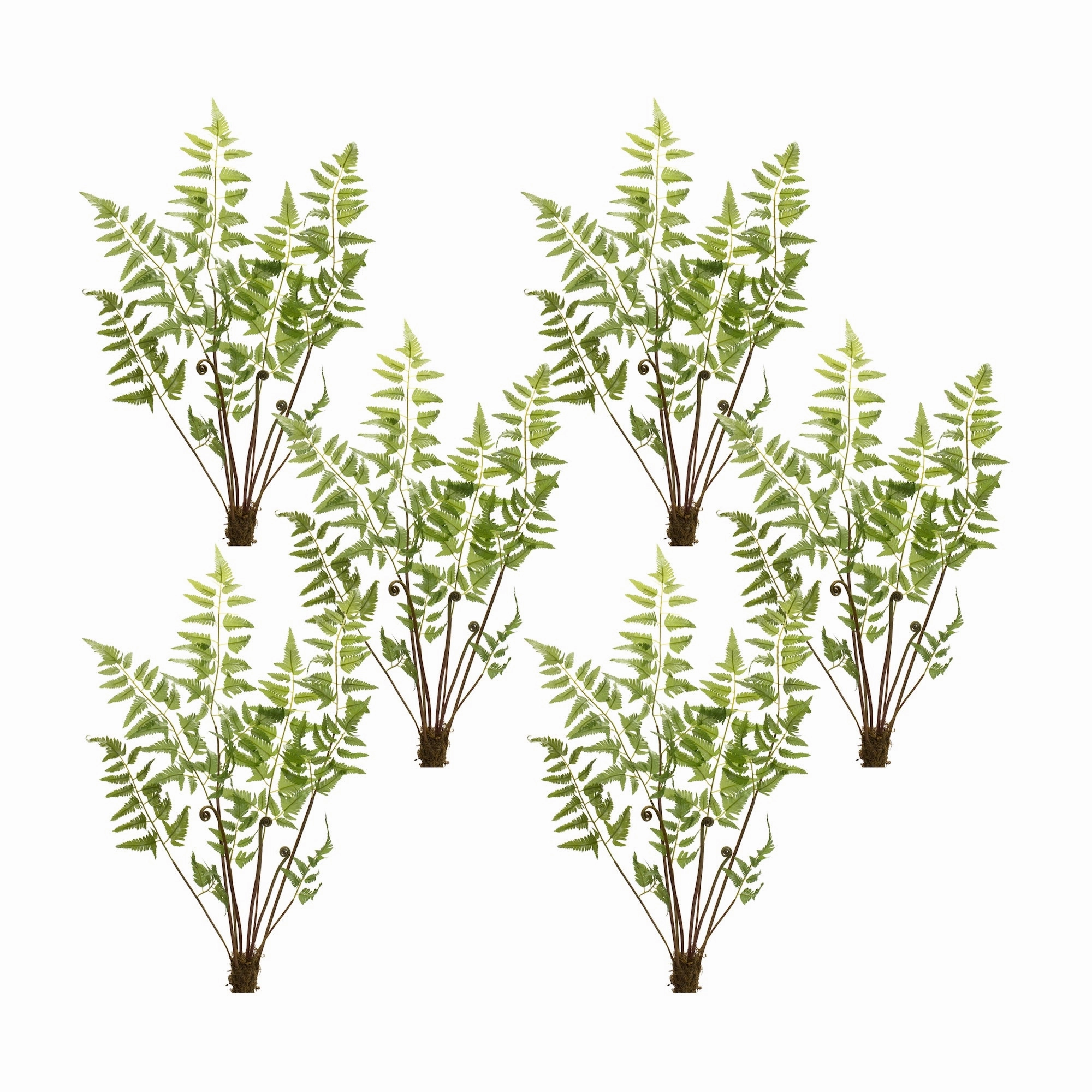 Fern Bundle (Set of 6) 37"H Polyester Faux Florals online special