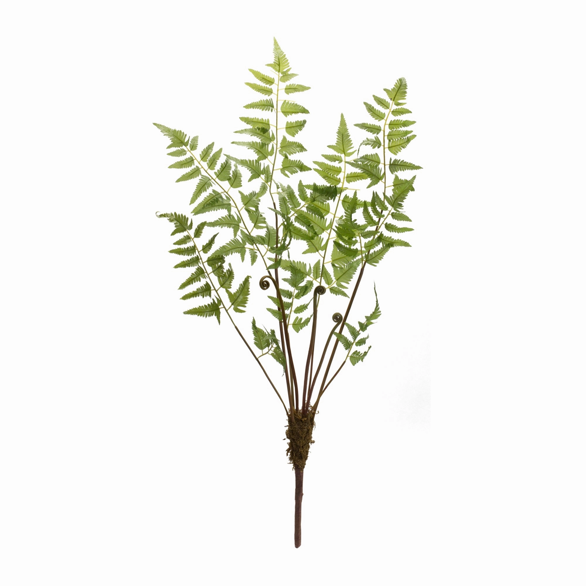 Fern Bundle (Set of 6) 37"H Polyester