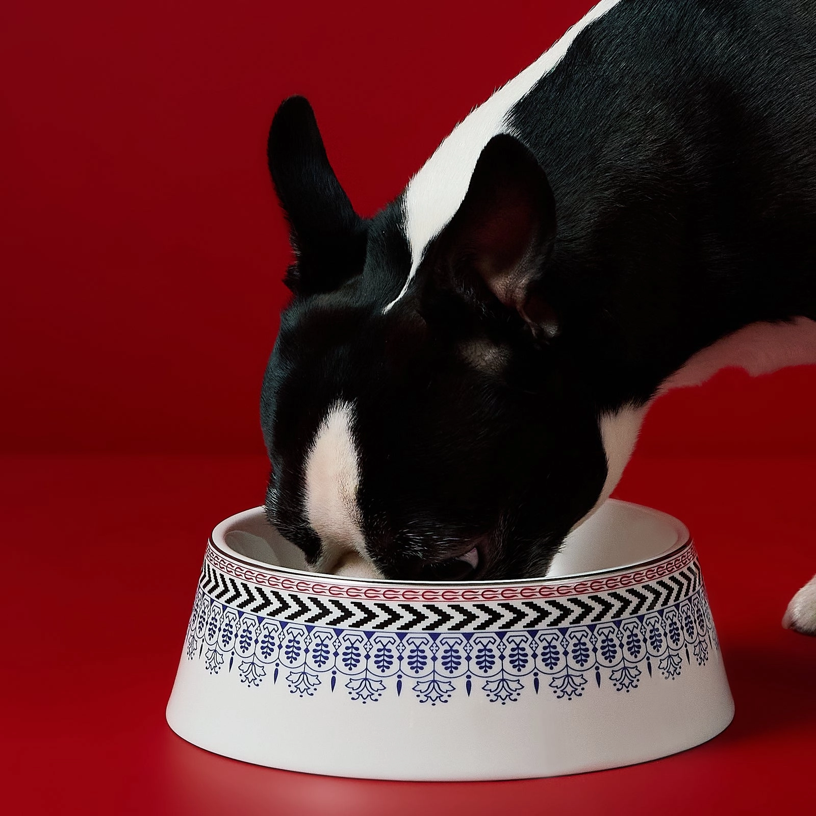 Festive Pet Bowl Large
