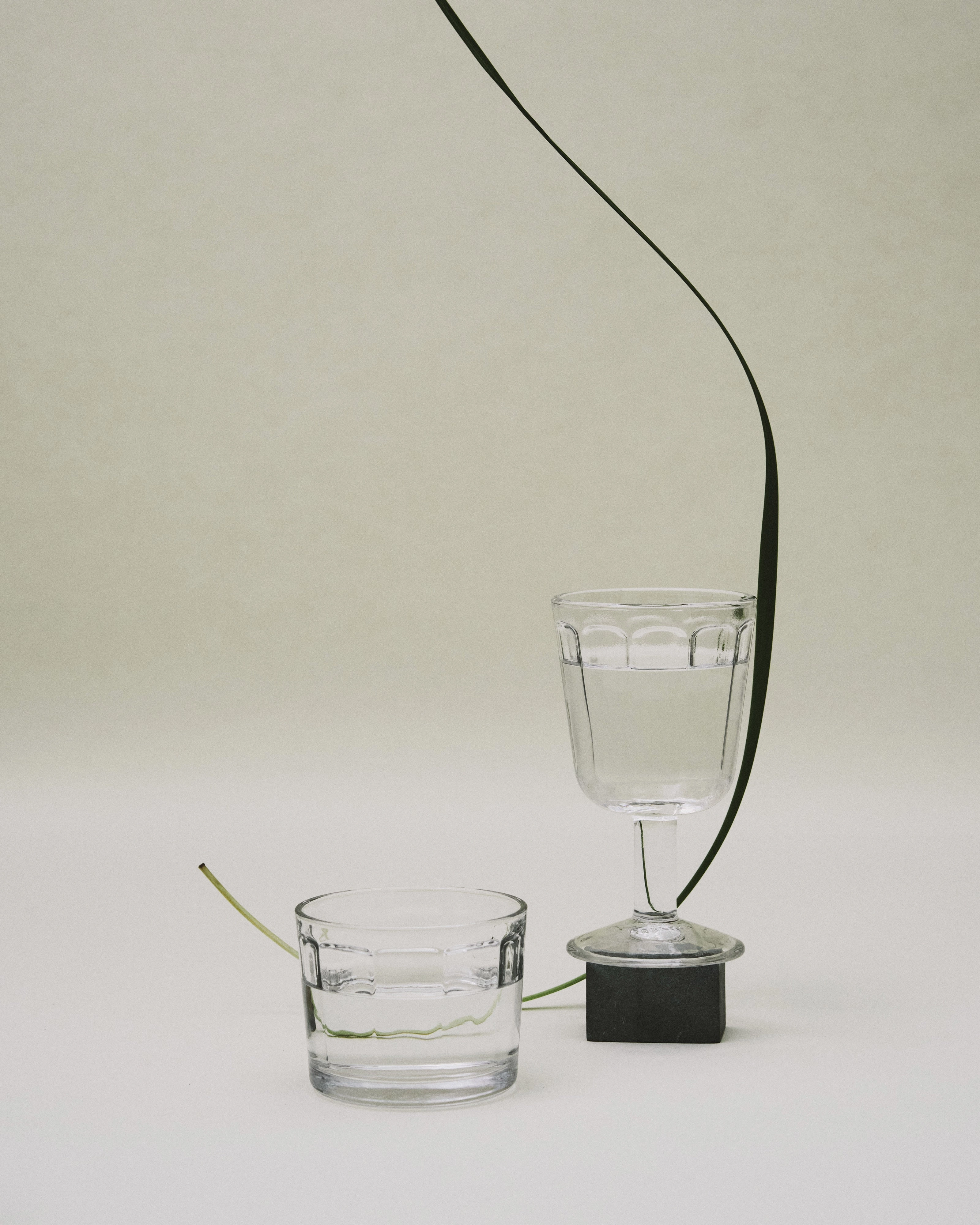 Gass tumbler L transparent Surface Glassware Tableware discount