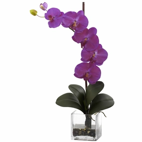 Giant Phal Orchid W/Vase Arrangement Faux Florals online special