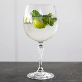 Gin Tonic Glass America's 20 Drinkware Bar Essentials