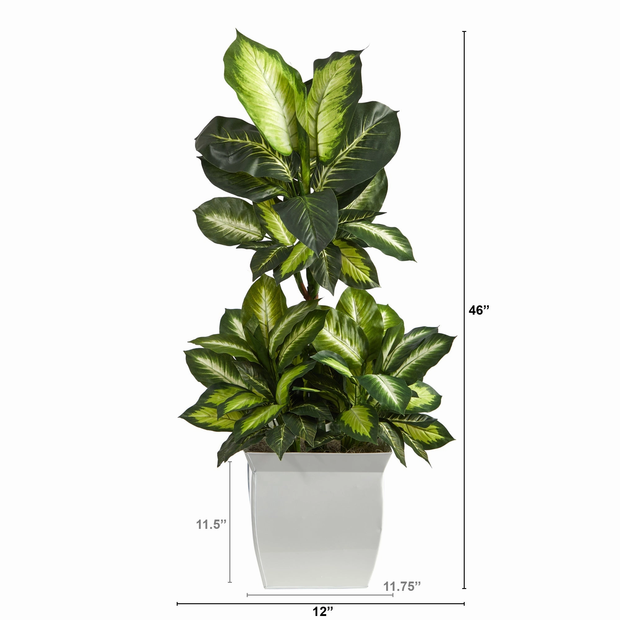 Golden Dieffenbachia Artificial Plant in White Metal Planter 46"
