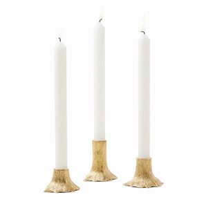 Griffin Brass Candle Holders Set/3 (Gold) Candle Holders discount collection